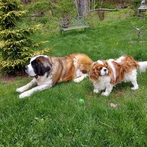 Meet your Posher, Dana